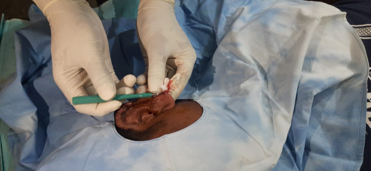 2B or not 2B-Cell Research